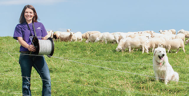 Electric Fences for Sheep, Goats and Cattle