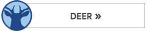 Deer Button