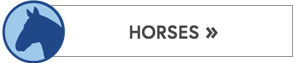 Horse Button