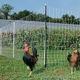 PoultryNet Plus®