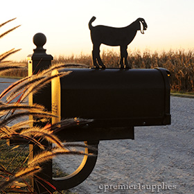 Mailbox Toppers & Welcome Signs