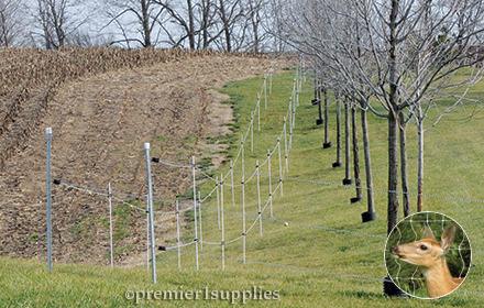 3D Anti-Deer Electric Fence