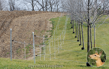 Permanent—3D Anti-Deer Fence