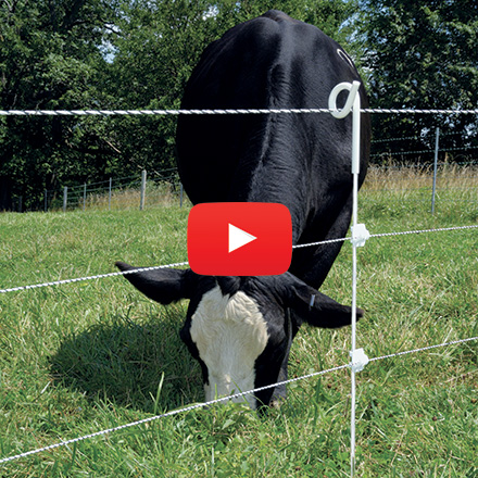 Multi-strand fence with pigtail post for rotational grazing