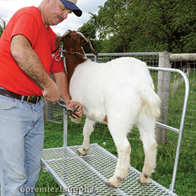 Hoof Pincher