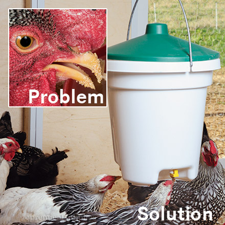 Bucket Nipple Waterer
