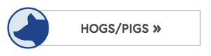 Hog and Pig Fences