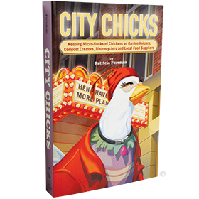 City Chicks