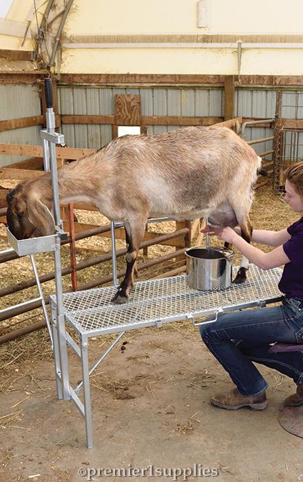 Milking Stand— Coming Soon!