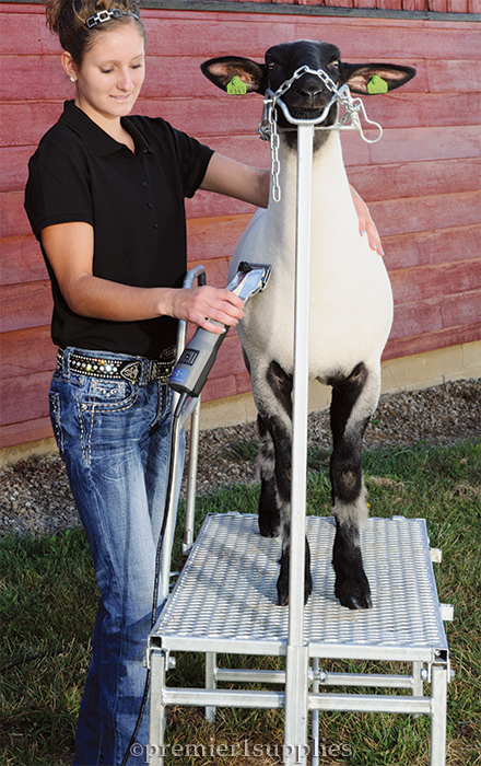 Trimming Stand