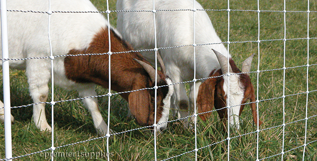 Top three fencing questions answered…