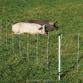 Pig QuikFence® 6/30/12