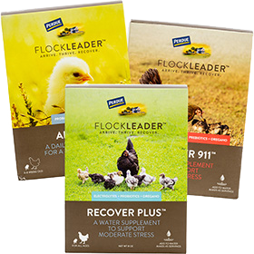 FlockLeader™ Poultry Supplements
