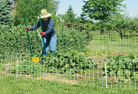 VersaNet® Plus Electric Fence for Garden and Flowerbeds