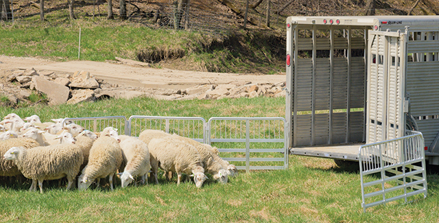 PrimaGate™ 2 Livestock Panels