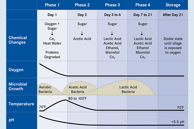 Silage fermentation chart