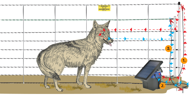 Positive/Negative electric fence diagram