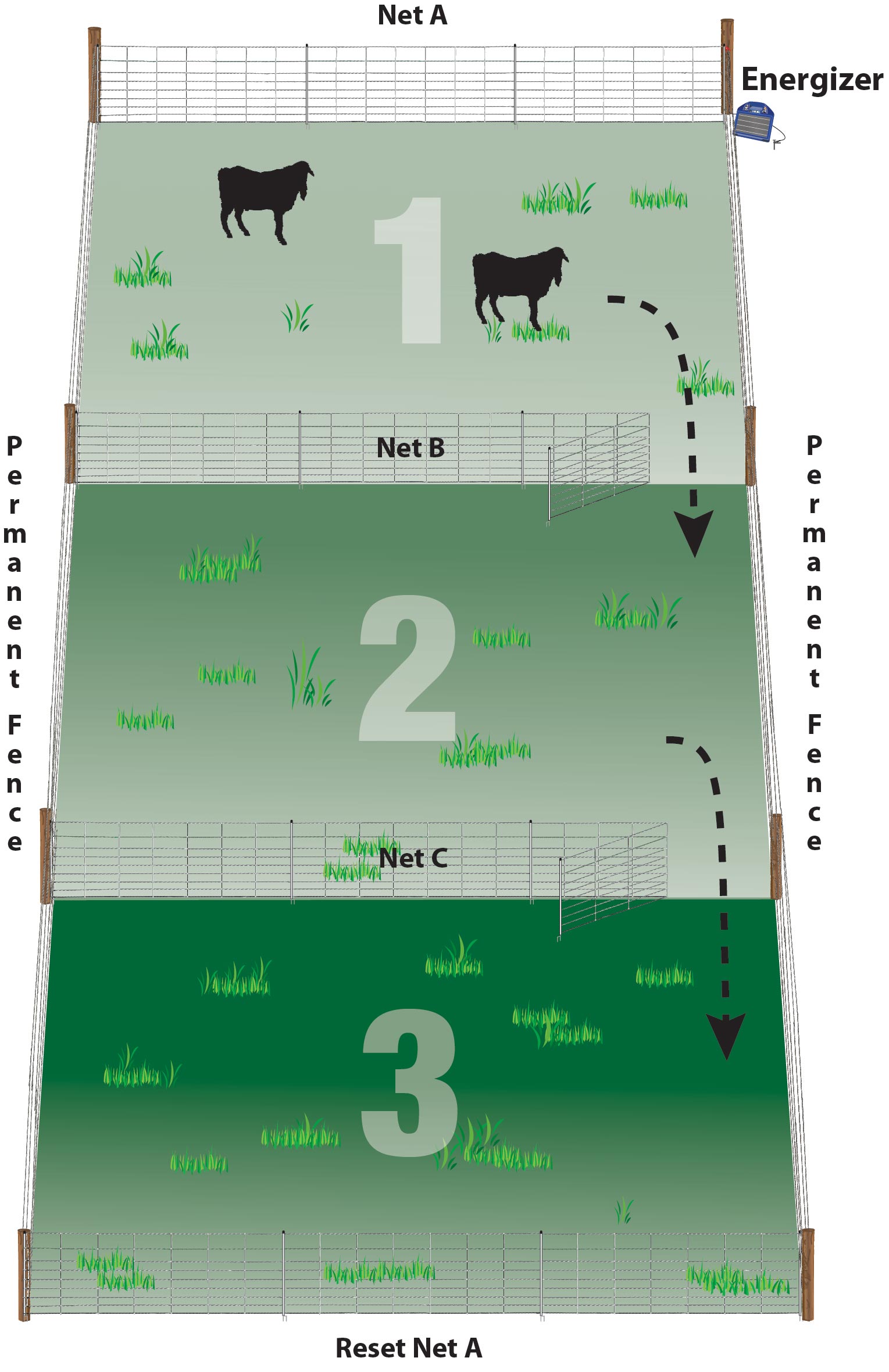 Three net grazing system with multiple paddocks.