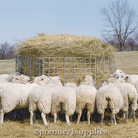 Big Bale Feeder