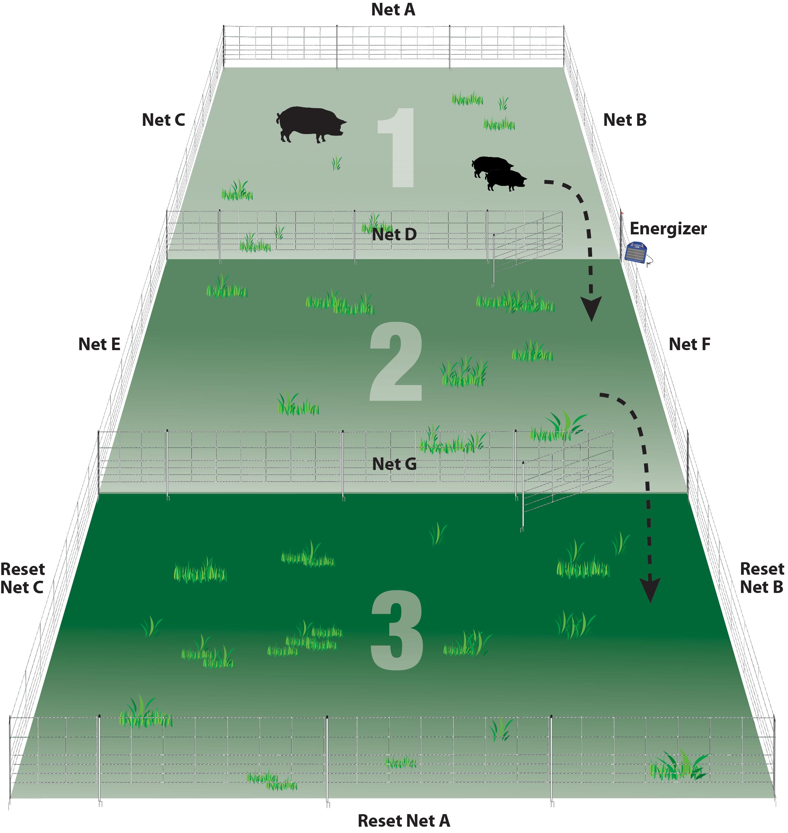 A seven net system for larger flocks.