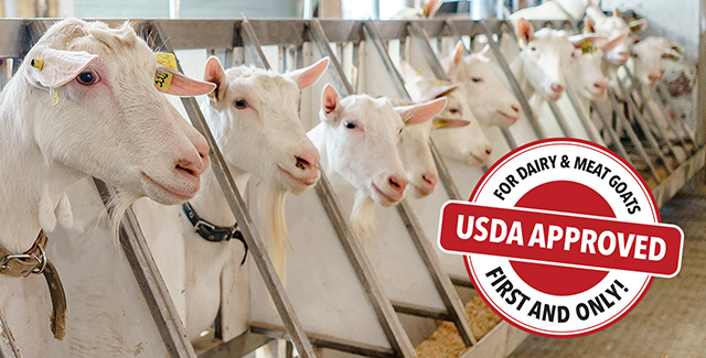 VIMCO® Mastitis Vaccine for dairy and meat goats