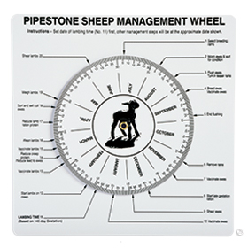 Sheep Management Wheel