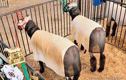 Lamb Blankets with Mesh End