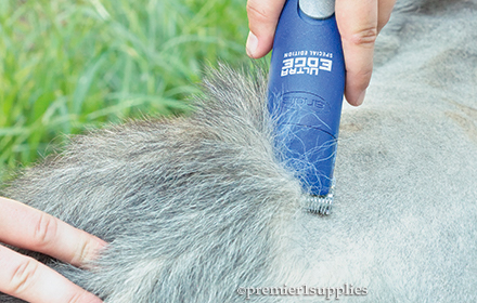 Clipping Blades and Small Clippers