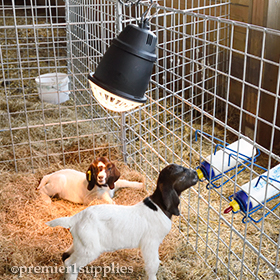 Wire Panels for Lambing and Kidding Pens