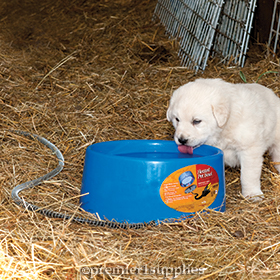 Heated Pet Bowl