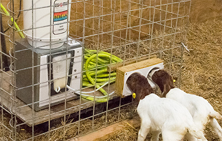 Auto-feeding LAC-TEK Machines