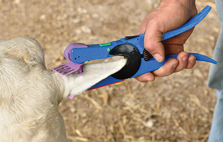 Pro Ear Tag Applicator