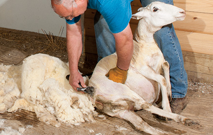 Longhorn Shearing Machine Kits