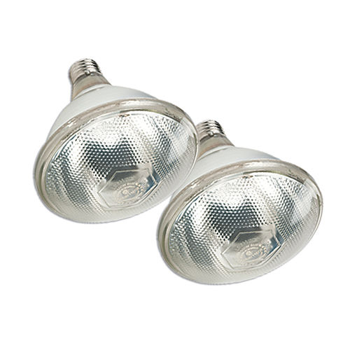 Prima Heat Lamp Premier1supplies Heat Lamp Bulbs Pressed Glass 175 Watt Clear Package Of 2