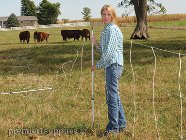 Electric Fence Design - Cooperative Extension: Livestock