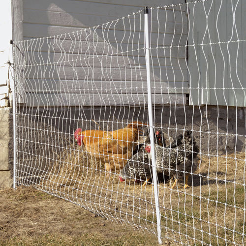 gallagher, poultry net, chicken net, portable fencing, electro net,  electric fence