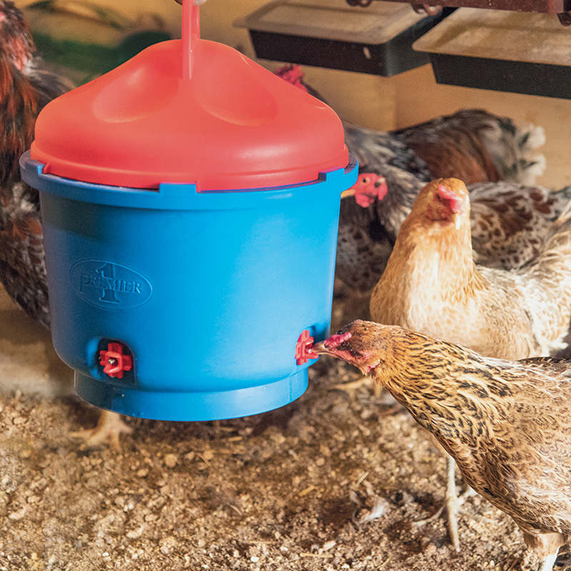 Hot Water Boiler Pluck & Play - Dutch Poultry Technology