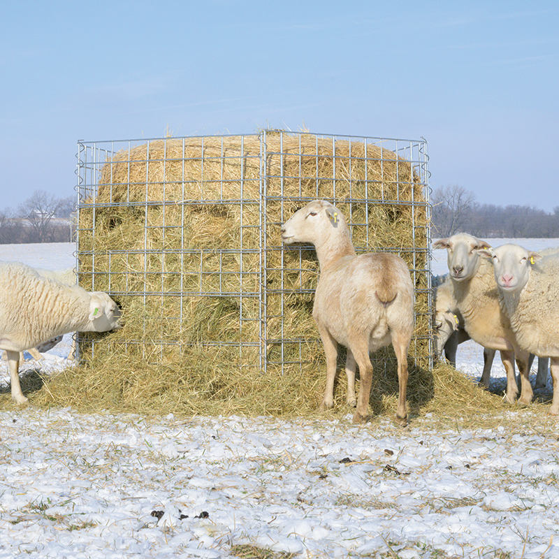 For equines sheep cattle Big Bale Buddy; stop waste hay / haylage camelids.. 