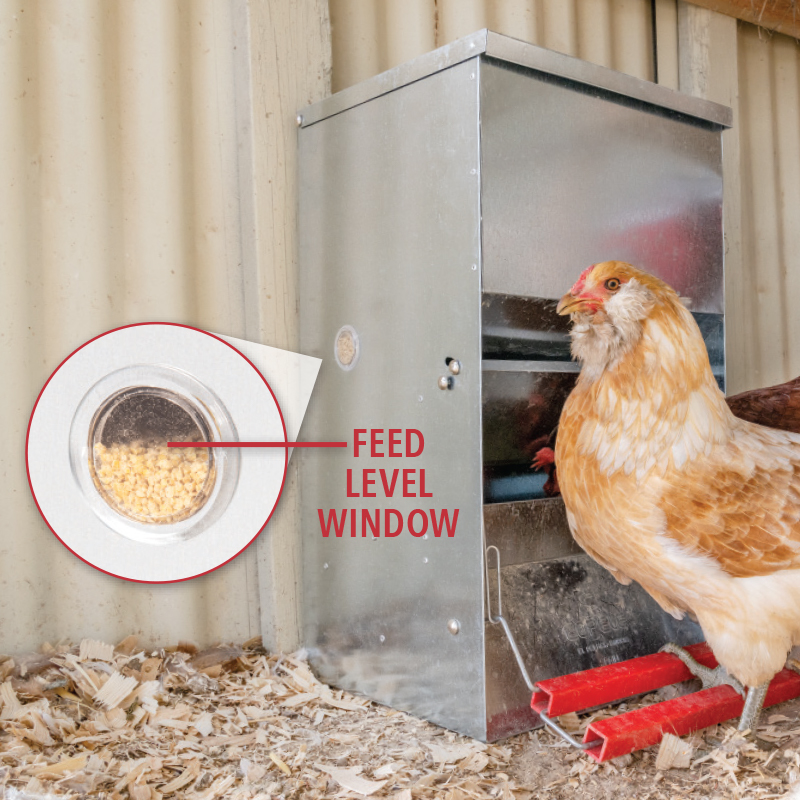 SmartStep™ Poultry Feeders