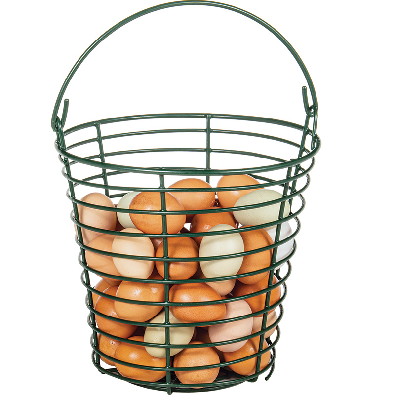 Egg Basket - Premier1Supplies