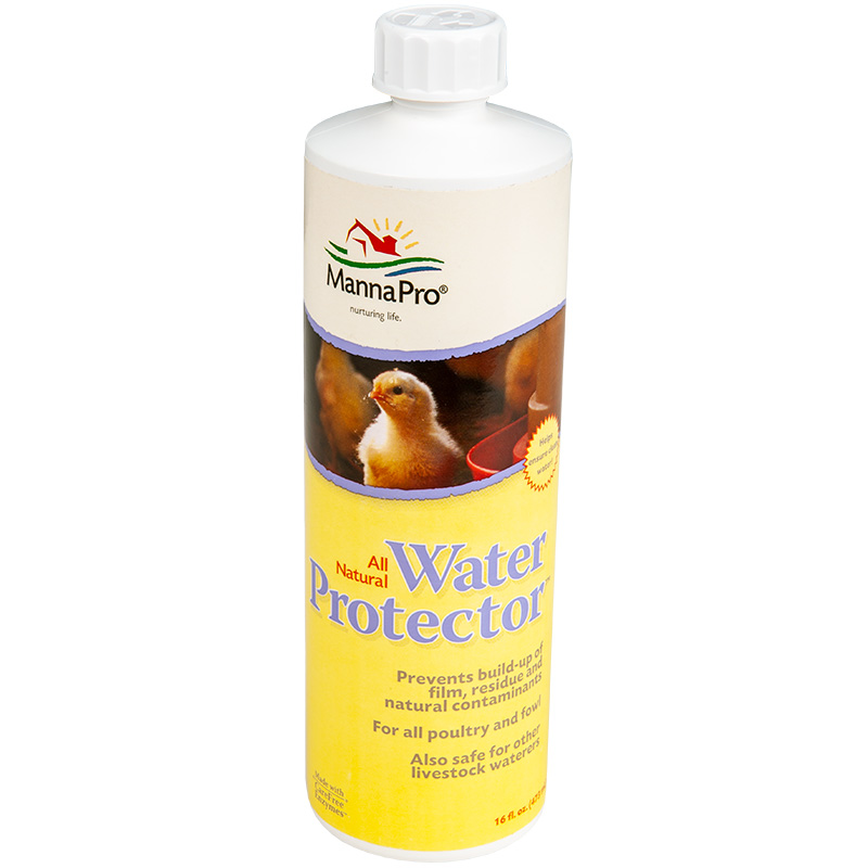 16 fl Fast Free Shipping MannaPro All Natural Poultry Water Protector oz