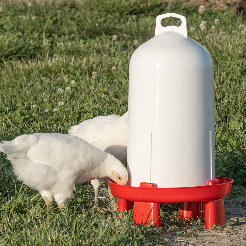 NEW BROWER 4GF 4 GALLON ALL POLY CHICKEN WATER FOUNT WATERER TOP FILL 2304111 