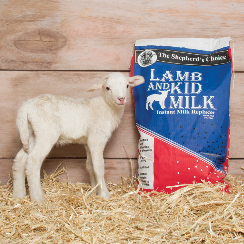Lamb Milk Replacer Sheep Milk Replacer Milk Replacer For LambsLamb Milk ...