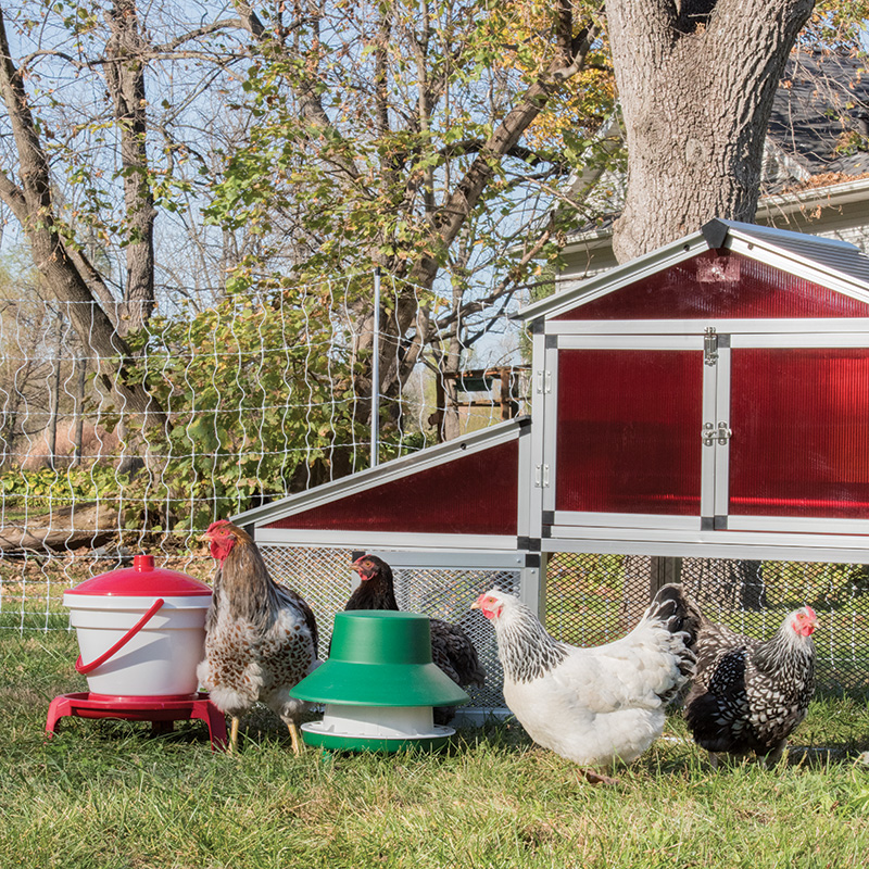 Quick Clean Waterer (with legs), 3 gal - Premier1Supplies