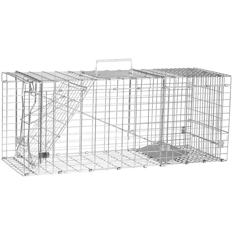 Collapsible Live Trap Cage - Premier1Supplies