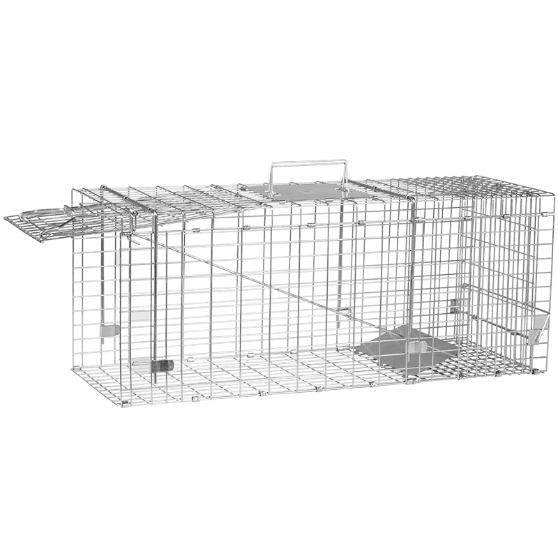 HOMESTEAD 2-Pack Live Animal Trap - Specialized for Raccoons, Opossums,  Groundhogs, Skunks, Feral Cats, Squirrels - Heavy Duty Steel Traps, 1-Door