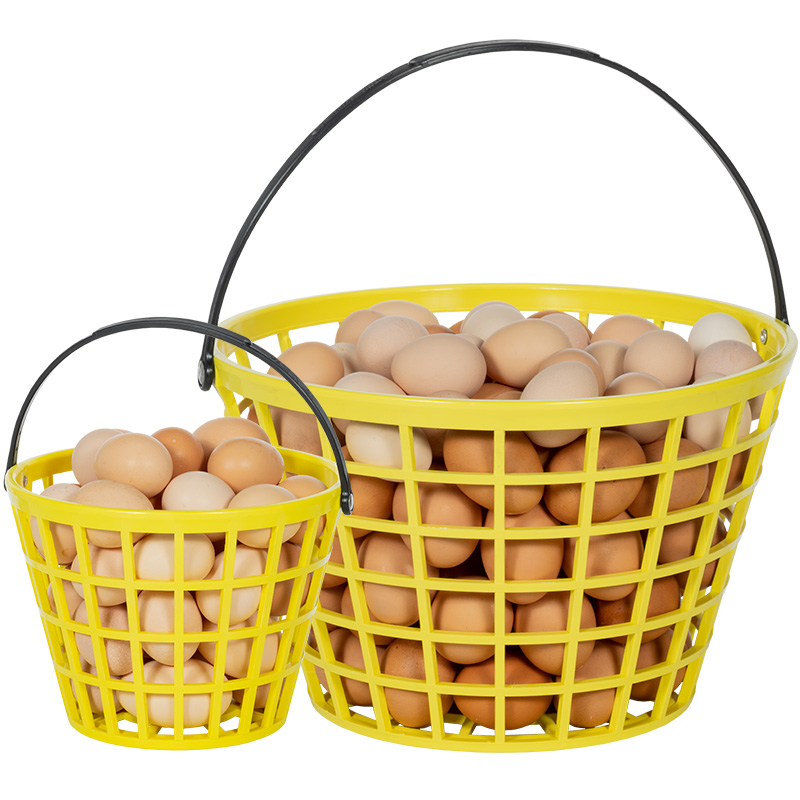 Egg Basket For Fresh Eggs