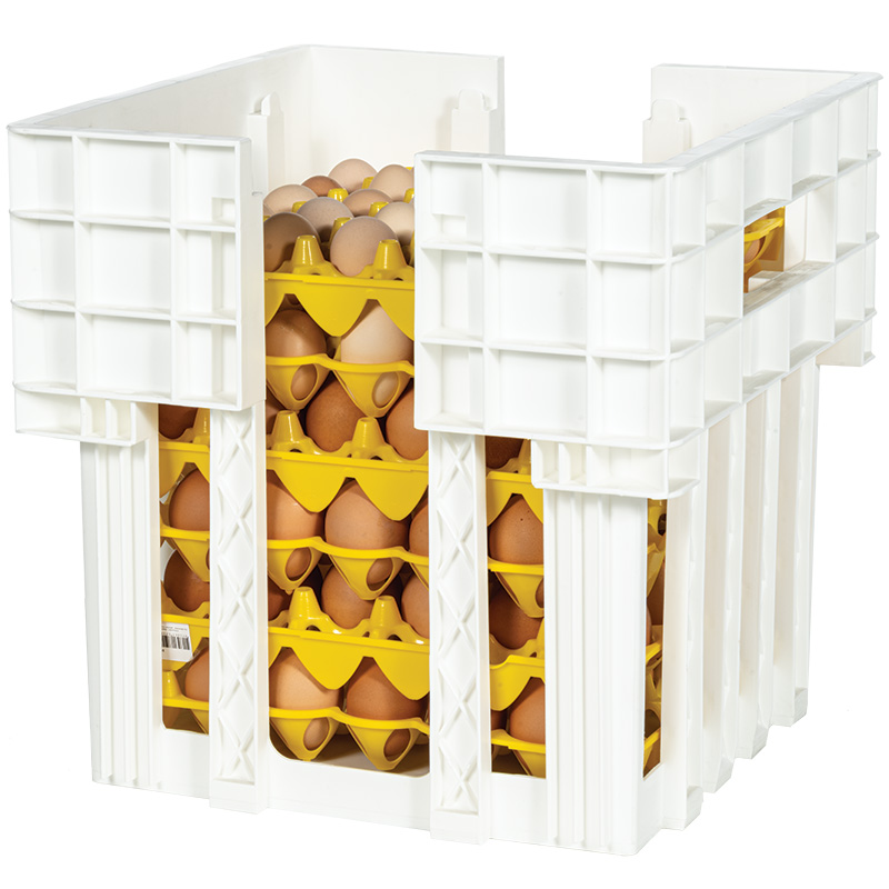 Tuff Stuff Reusable Plastic 12 Egg Carton