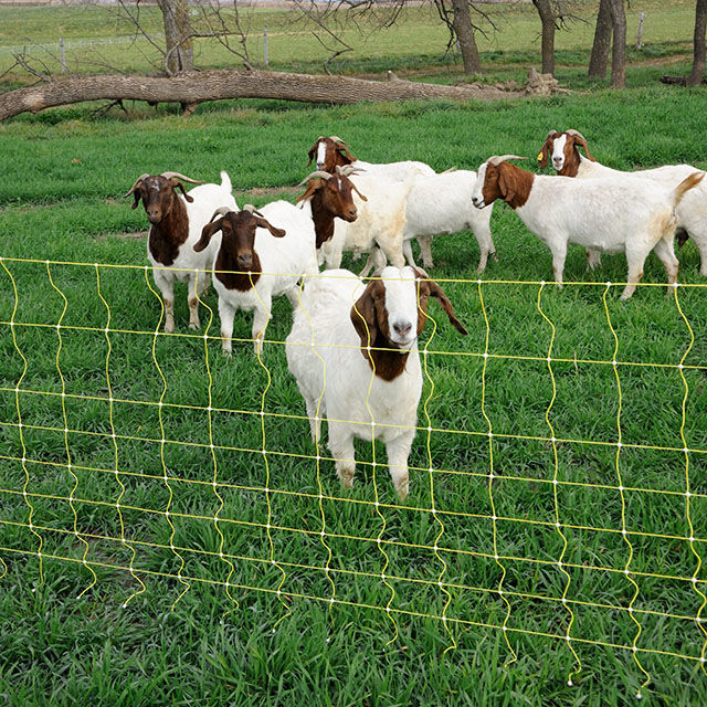 Patriot Sheep & Goat Netting 165' 