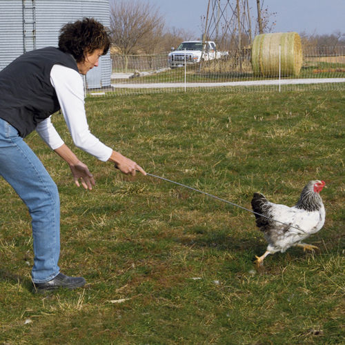 Telescopic Chicken Catcher Leg Hook 58.5 Inch Chicken Net Catcher with Non  Slip Rubber Handle Can Withstand 3.5 lbs Small Chicken Catching Net Poultry